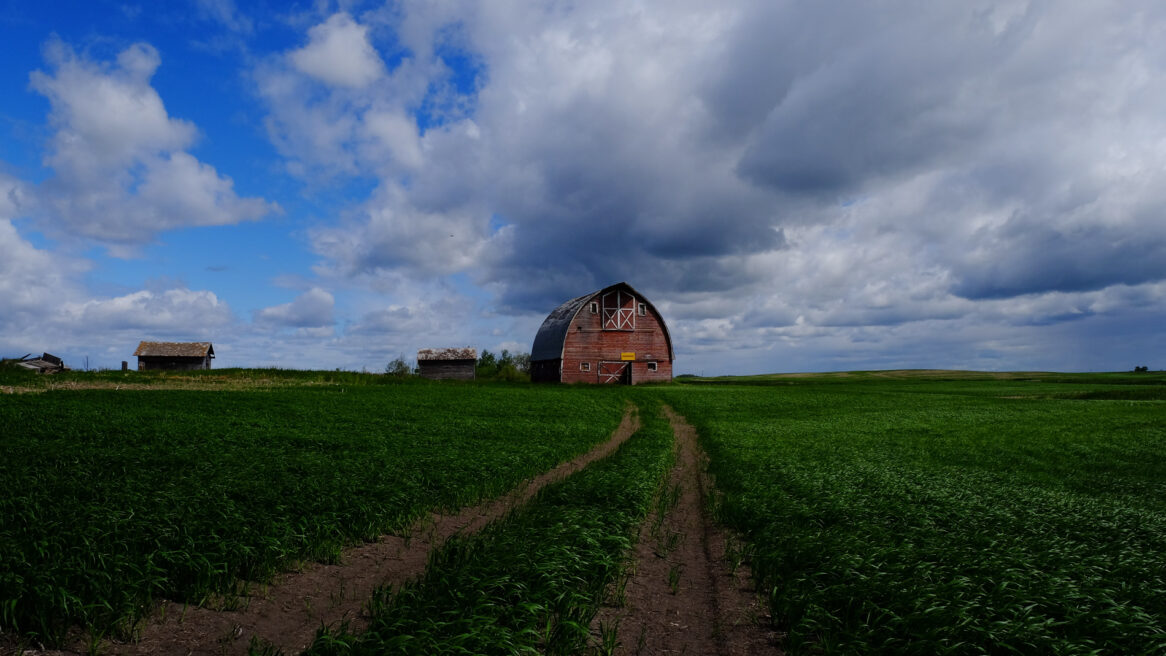 Canada Alberta 2017 weer een mooie oude schuur langst de weg, mijn echtgenoot word er moe van !