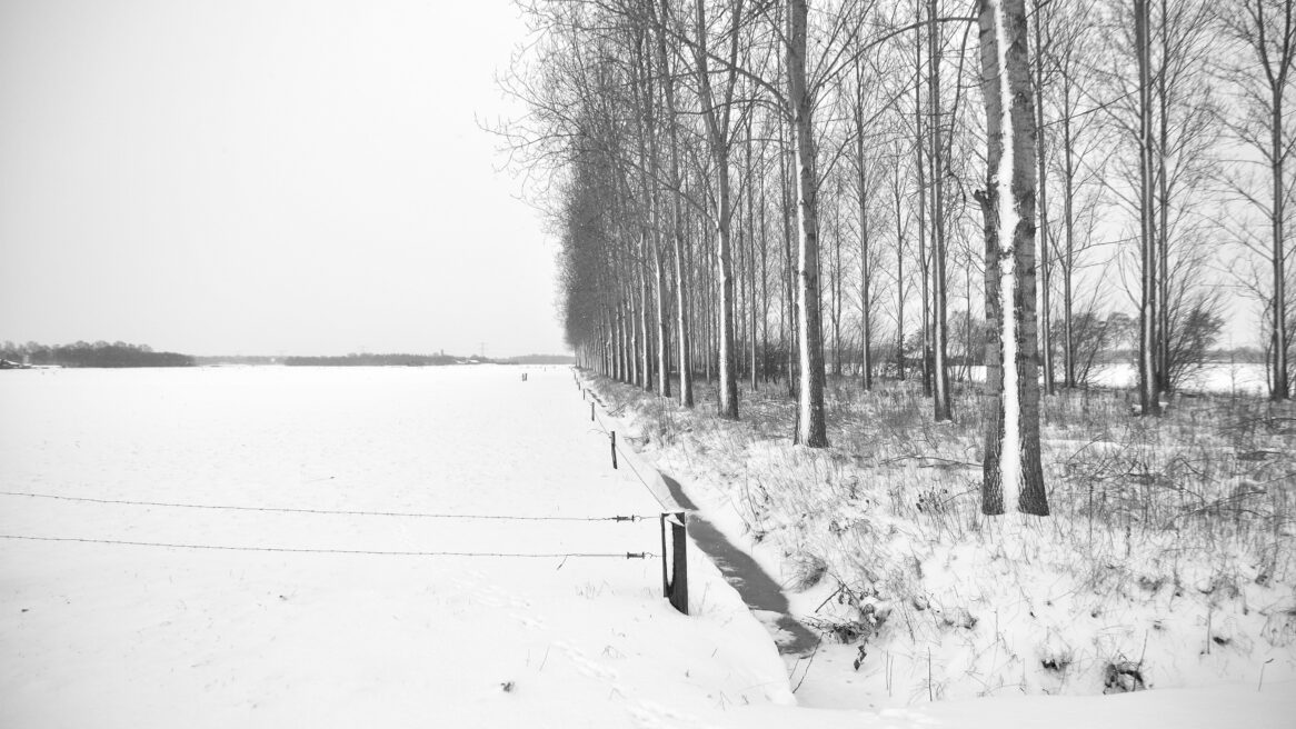 Winters landschap in Marle Gem Hellendoorn