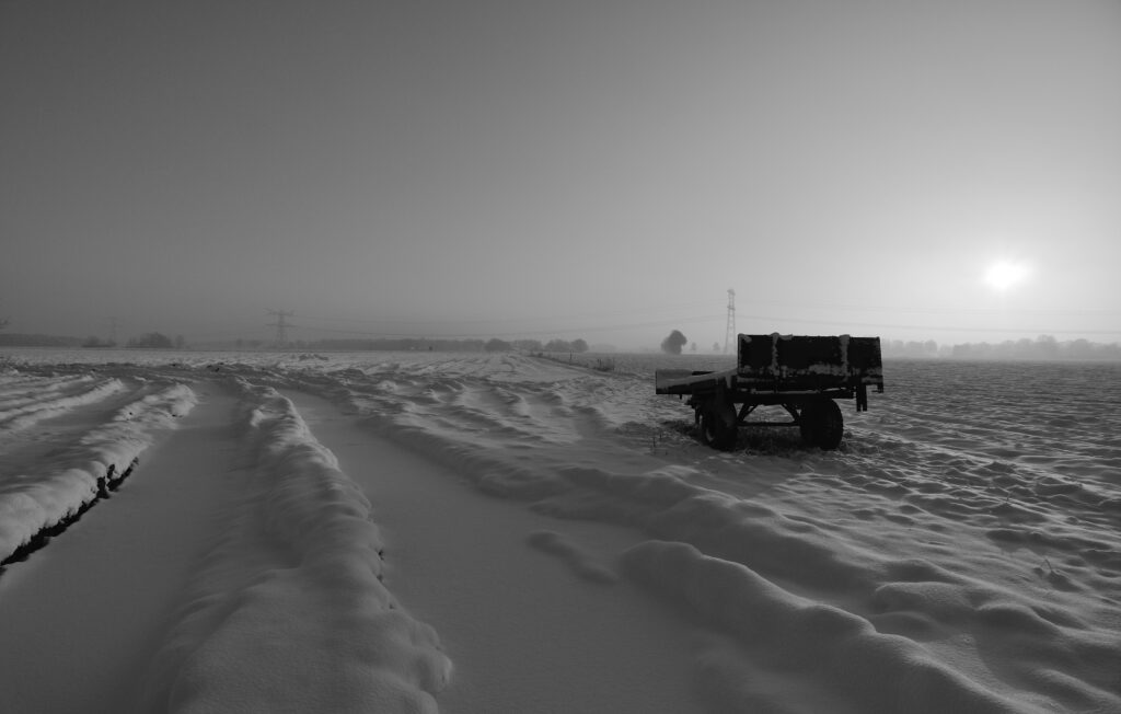 Boerenkar in een winters landschap in Marle Gem Hellendoorn