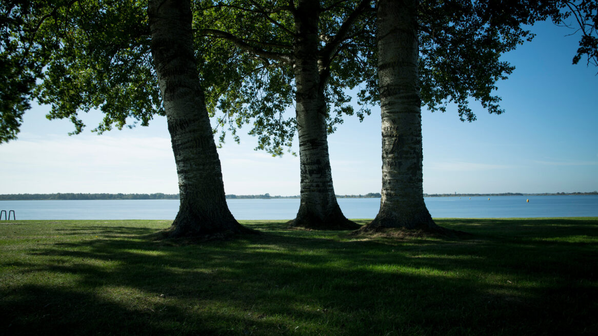 Westelijke belterweide. De Belterwijde is een meer in de Kop van Overijssel ten zuidwesten van Wanneperveen in de Nederlands provincie Overijssel.