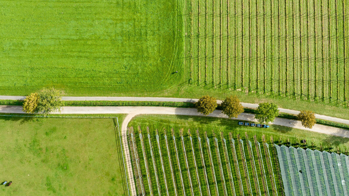 Linksboven is gras daarnaast Hop kweekveld daaronder twee paarden in het gras en appelboom kwekerij bij het dorp Euverem Zuid-Limburg 27-09-2023