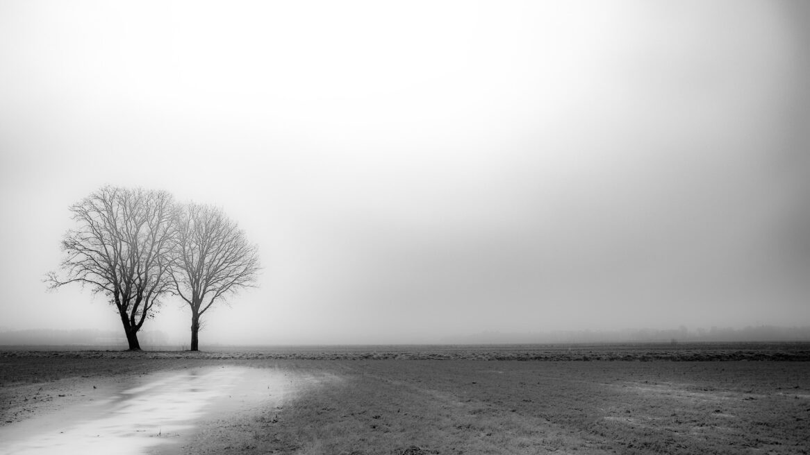 Boom mist en een klein beetje ijs in Marle, Gemeente Hellendoorn 11-01-2024 