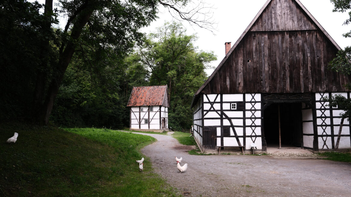 LWL Freilichtmuseum Detmold, Het grootste openluchtmuseum van Duitsland 24-07-2025