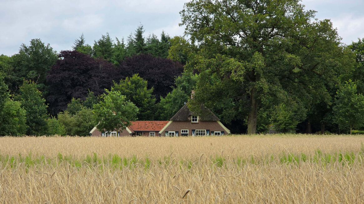 Vakantieboerderij genaamd Erve van Oene gelegen in Lemele nabij Ommen in het vechtdal Overijssel 2025